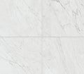 Marble Attache Lavish Diamond Carrara