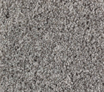 Greystone Manor I Starry Taupe