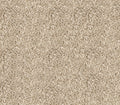 Easy Street Linen Canvas