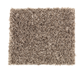 Easy Street Pebble Path