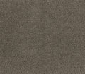 Forever Shag 8x10 Taupe 8x10