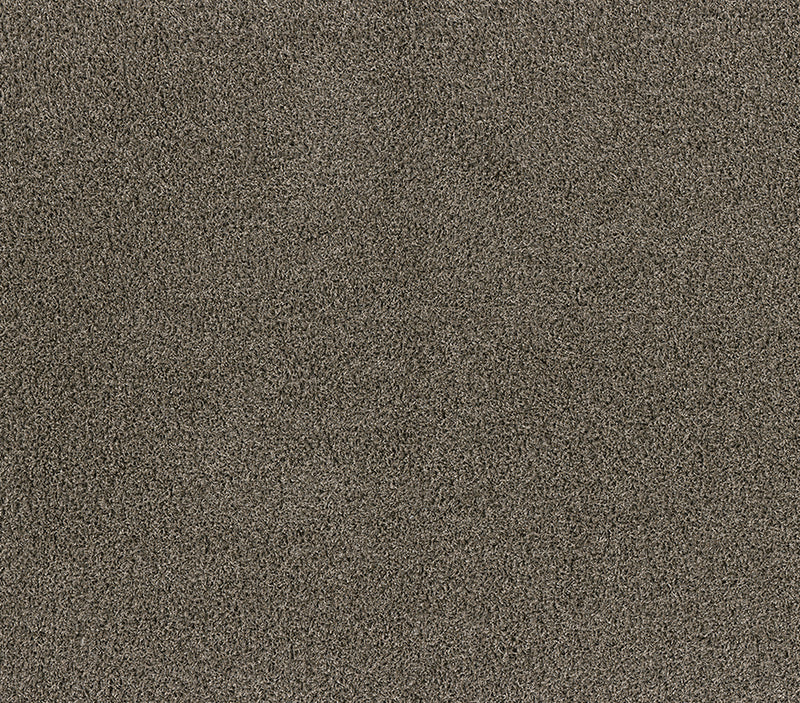 Forever Shag 8x10 Taupe 8x10