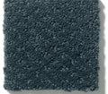 Genesis Indigo