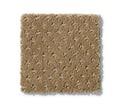 Genesis Travertine
