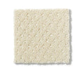 Genesis Winter White