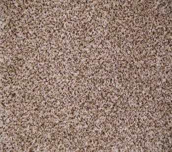 Goldy Sea Drift