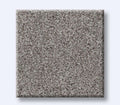 Harmonious III Grey Fox