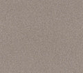 Influencer Baltic Stone