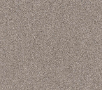Influencer Baltic Stone