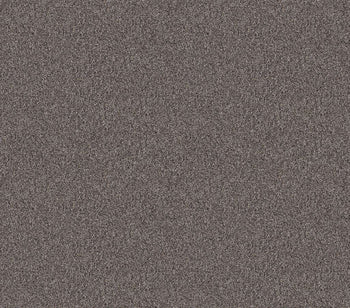 Influencer Desert View