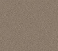 Influencer Raw Wood
