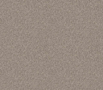 Influencer Sandstone
