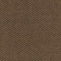 Classic Statement Sequola