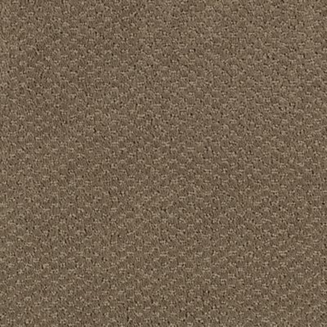 Classic Statement Toasted Taupe