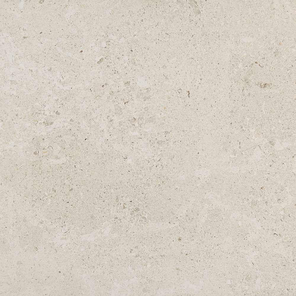Dignitary Luminary White