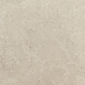Dignitary Notable Beige