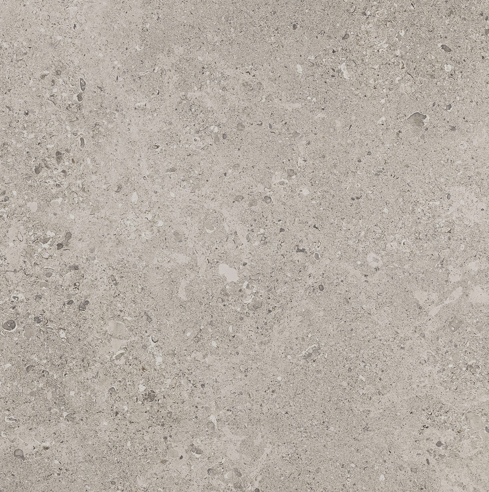 Dignitary Superior Taupe
