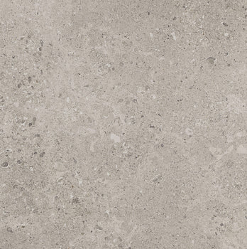Dignitary Superior Taupe