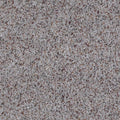 Laurel Canyon Fossil
