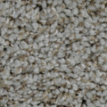 Metropolitan Stucco