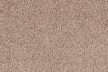 Neutral Ground Cobblestone