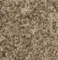 Paragon Sealskin