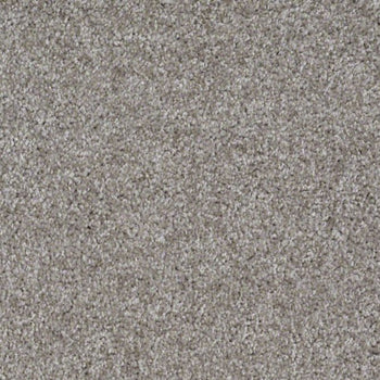 Parlay Pewter