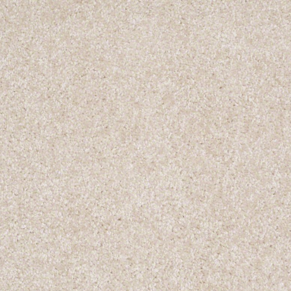Parlay Sand Dollar