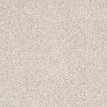 Parlay Sand Dollar