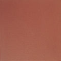 Quarry Tile Red Blaze