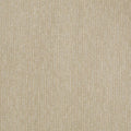 Speed of Light Canvas