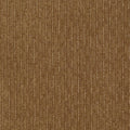 Speed of Light Leather Bound