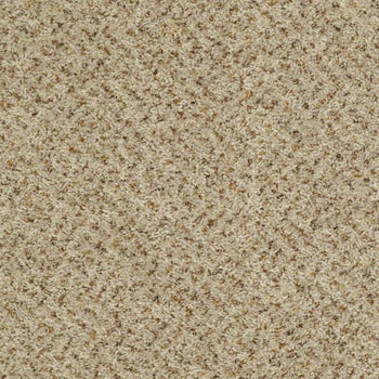 Style 32 B Parchment