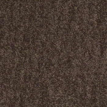 Style 32 S Chocolate Chip