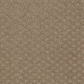 Timeless Artistry Allspice