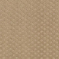 Timeless Artistry Camel