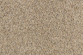 Unprecedented Coastal Beige