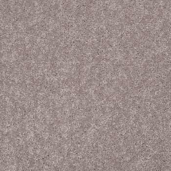 Well Played I II Mocha Frost