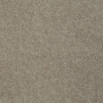 Well Played I II Natural Beige