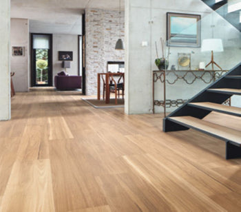 Loose Lay Longboard Lemon Spotted Gum