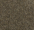 Natural Comfort II Balsam Beige