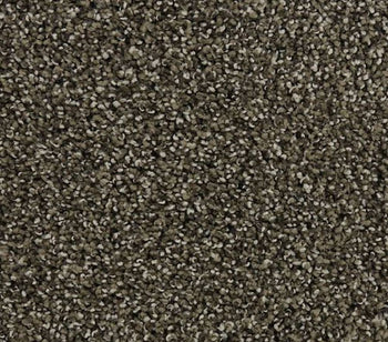 Natural Comfort I Taupe Delight