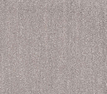 Ombre Whisper Dusty Lilac
