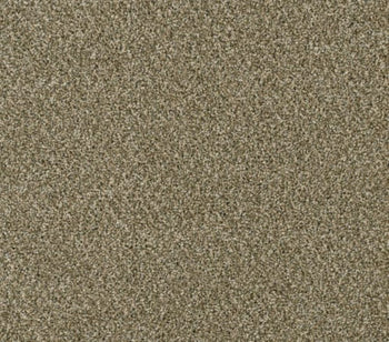 Rave Review Sienna Sand