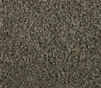 Sleek Appeal Moon Rock
