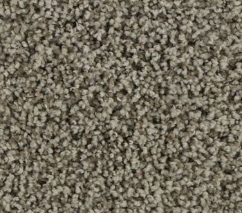 Sleek Appeal Taupe Whisper