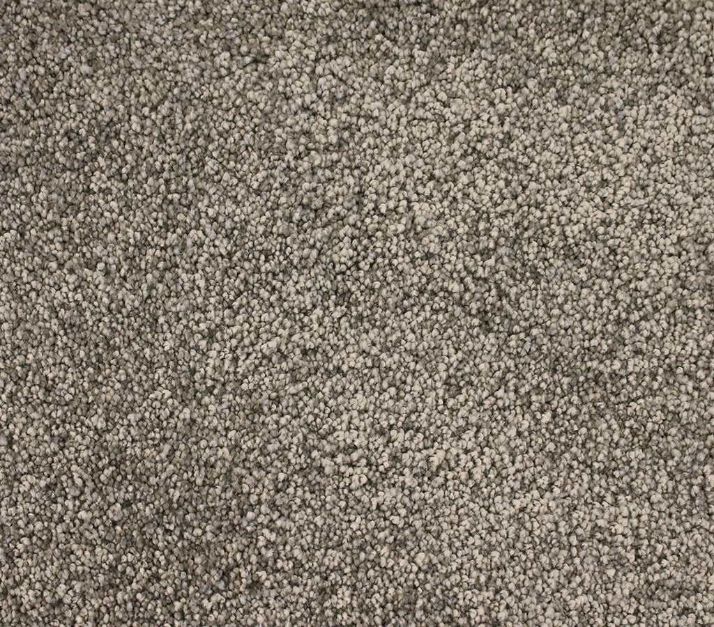 Solid Goldy Amherst Gray