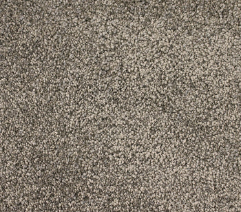 Solid Goldy Amherst Gray