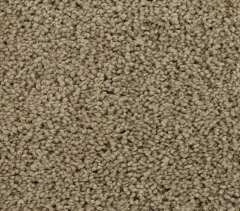 Striking Allure Neutral