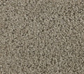Striking Allure Taupe Whisper